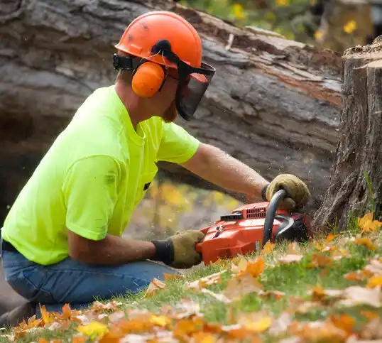 tree services Guthrie